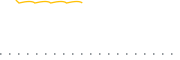 chart-NSAV